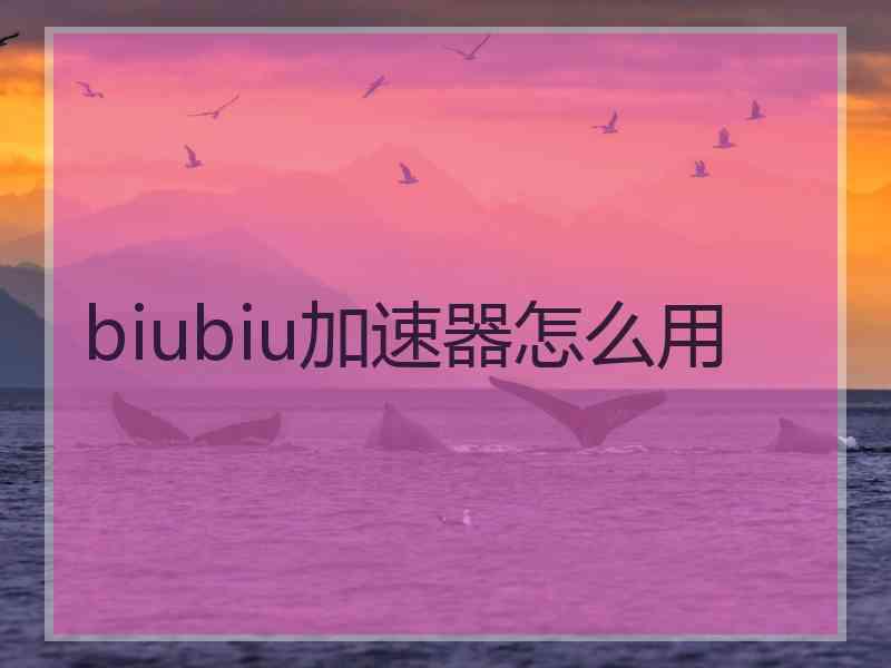 biubiu加速器怎么用