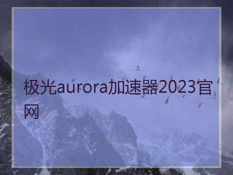极光aurora加速器2023官网