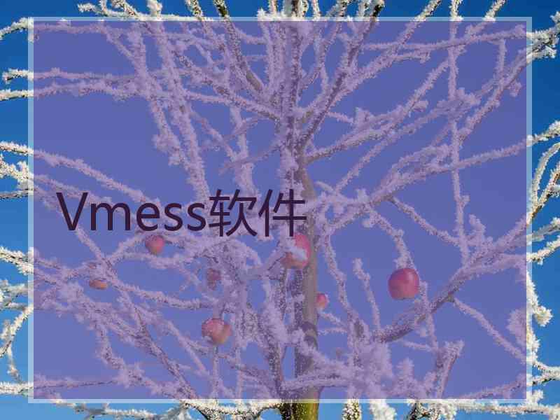 Vmess软件