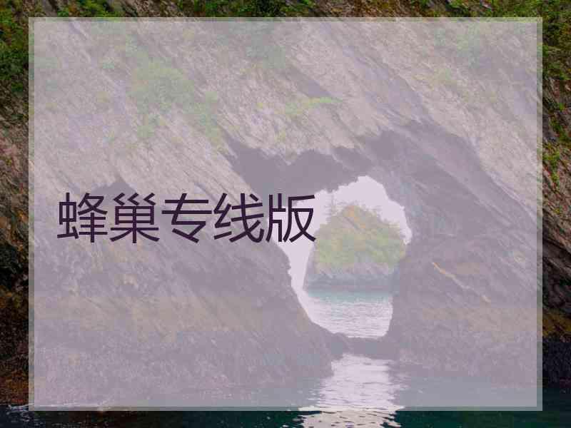 蜂巢专线版