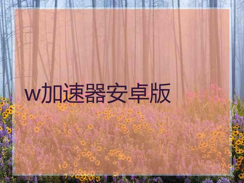 w加速器安卓版
