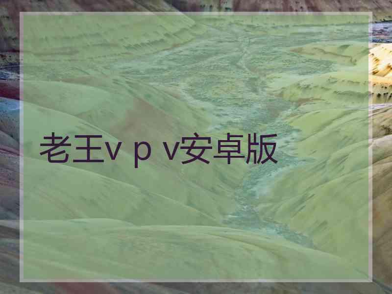 老王v p v安卓版