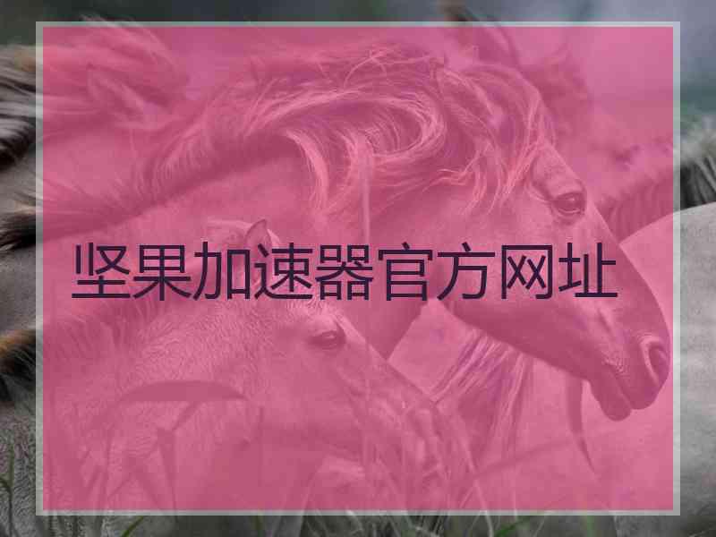 坚果加速器官方网址