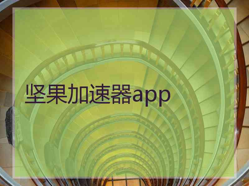 坚果加速器app