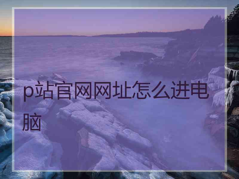 p站官网网址怎么进电脑