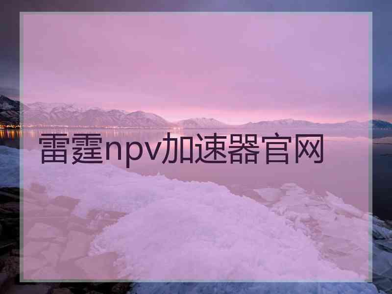 雷霆npv加速器官网