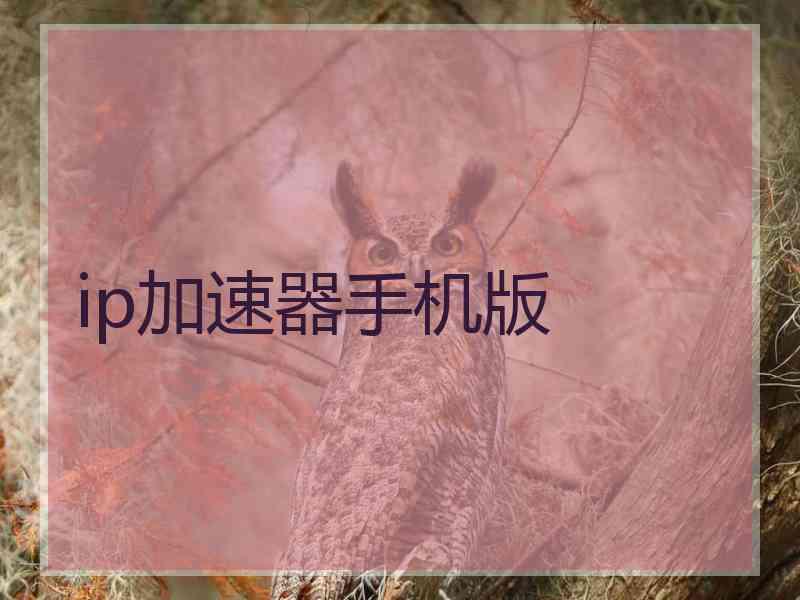 ip加速器手机版