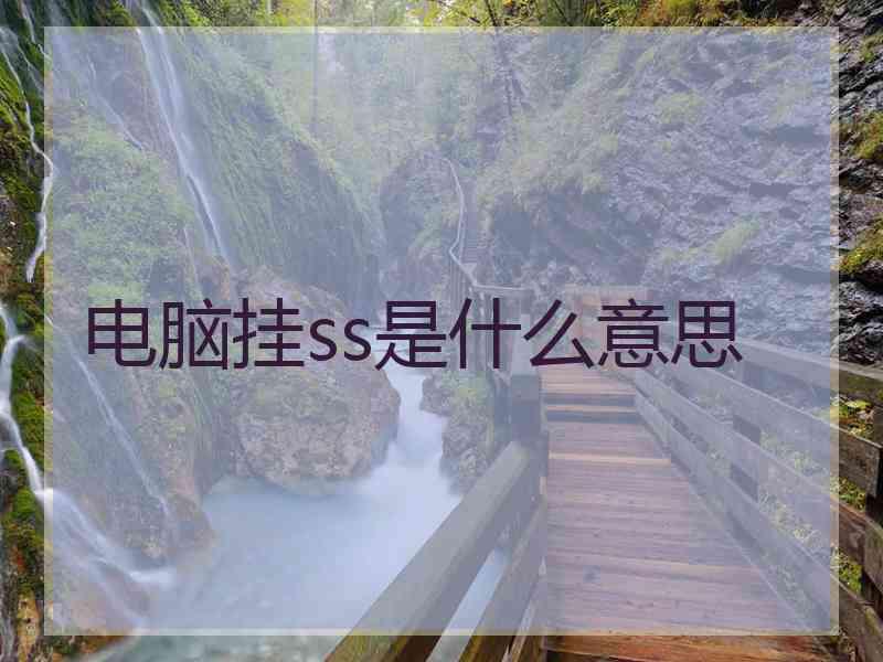 电脑挂ss是什么意思